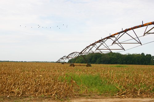 Property photo 52 - 21 Multiple Span Irrigation Pivots, Offered Individually or Combination - Irrigation Equipment Auction
